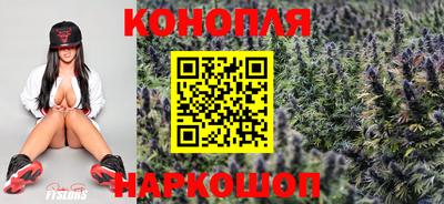 прущие грибы Пыть-Ях