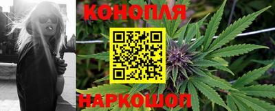прущие крисы Пушкино