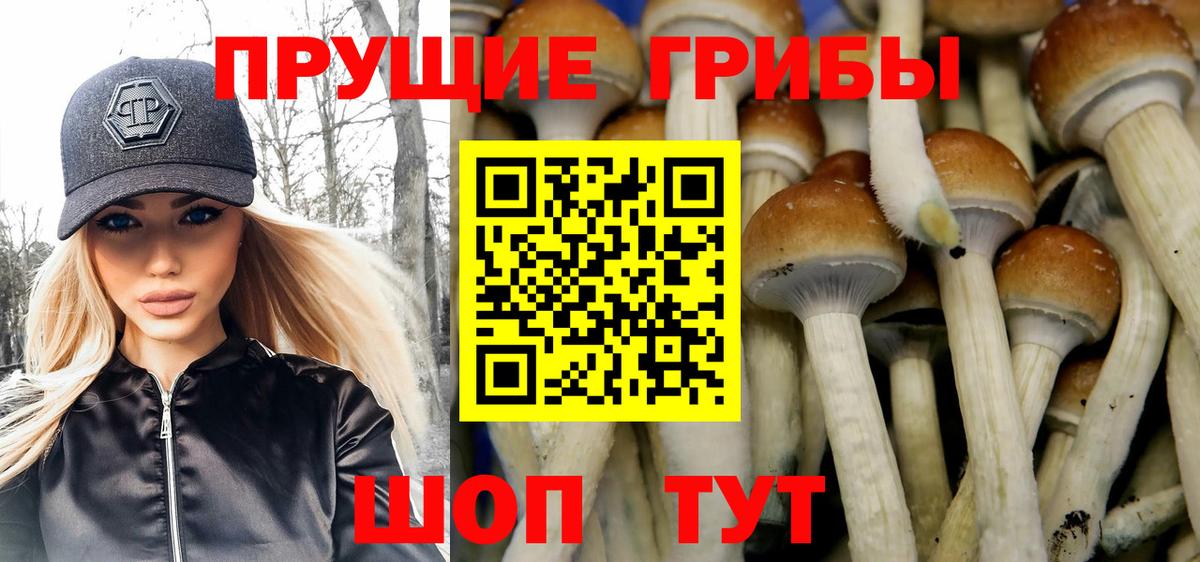 Псилоцибиновые грибы MAGIC MUSHROOMS Советский