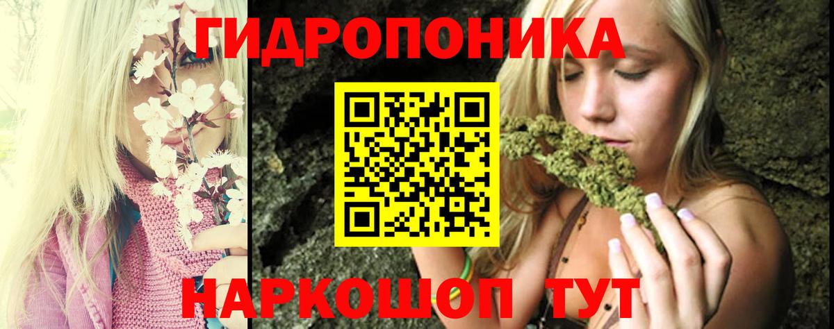 Каннабис White Widow  Вход с VPN  МАРИХУАНА Amnesia  Советский  Каннабис гибрид 
